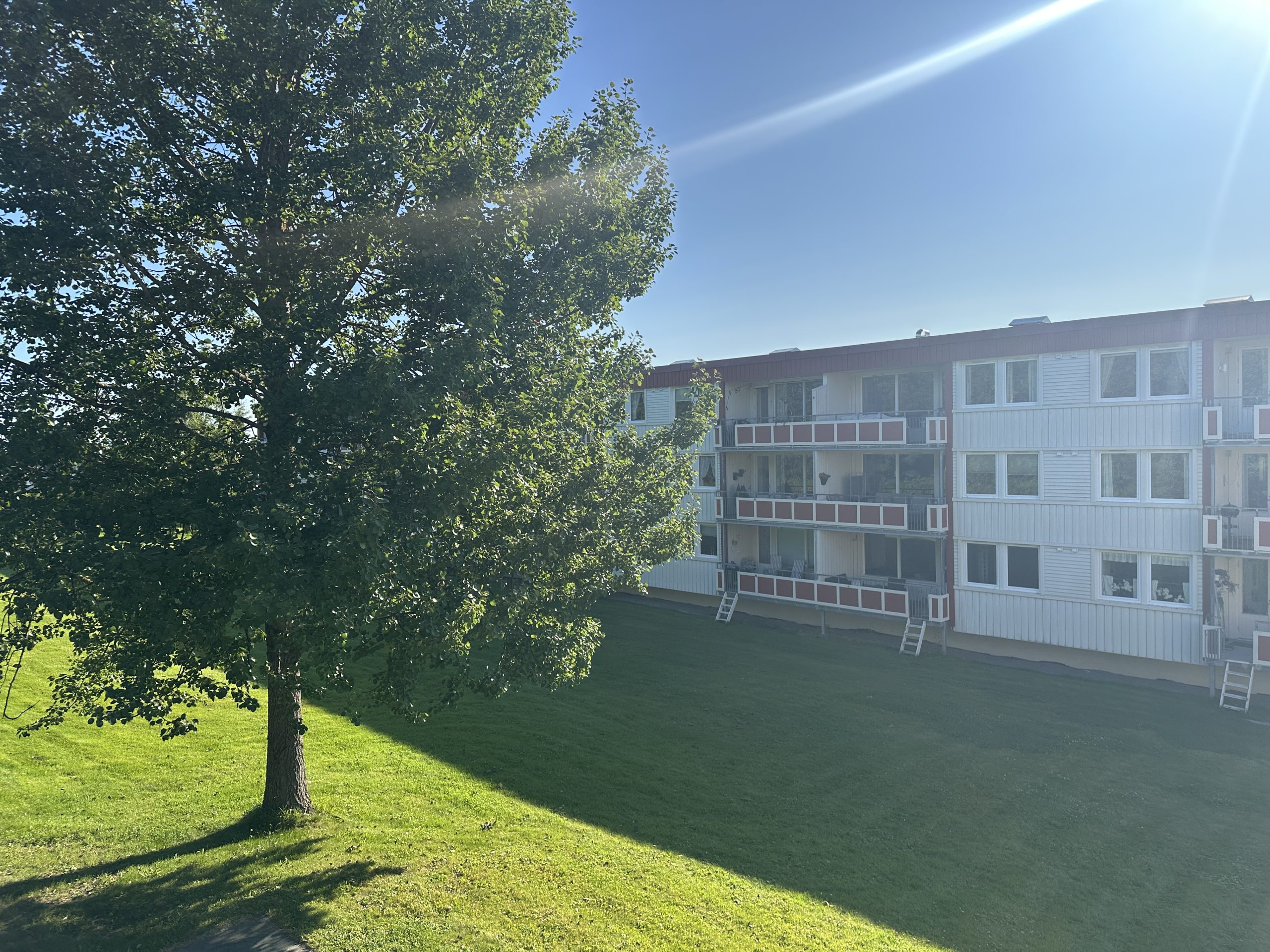 Vilhelmsmyr — boligområdene